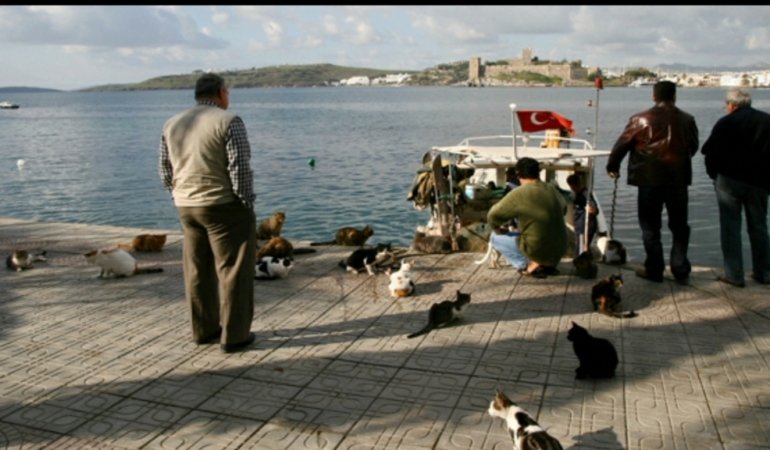 Füruzan Uysal’ın Yazısı; Bodrumlu Olmak…