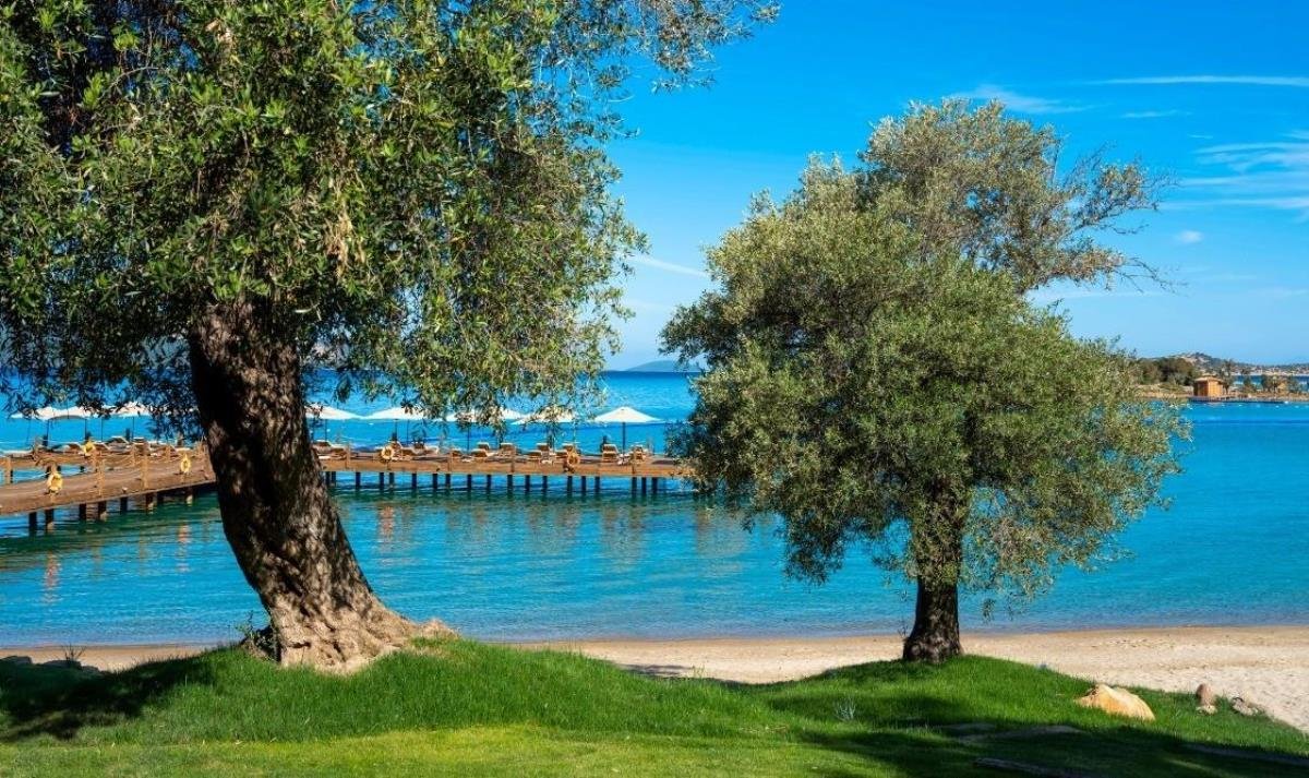 rixos-olive-fest-icin-geri-sayim-basladi-nN4ykreL.jpg