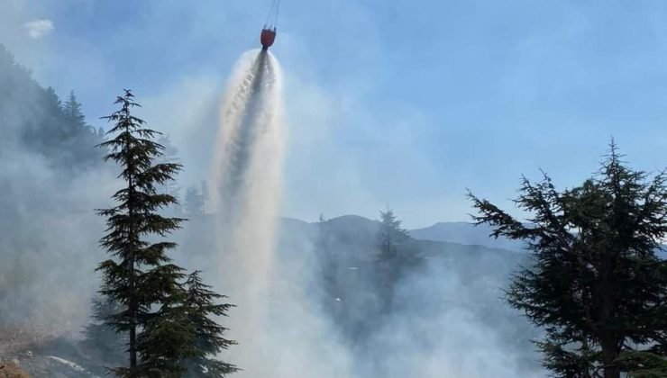 Muğla’da çıkan orman yangını söndürüldü