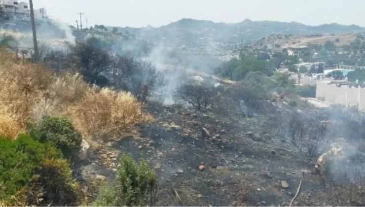 Bodrum’da Makilik Yangını Kontrol Altına Alındı