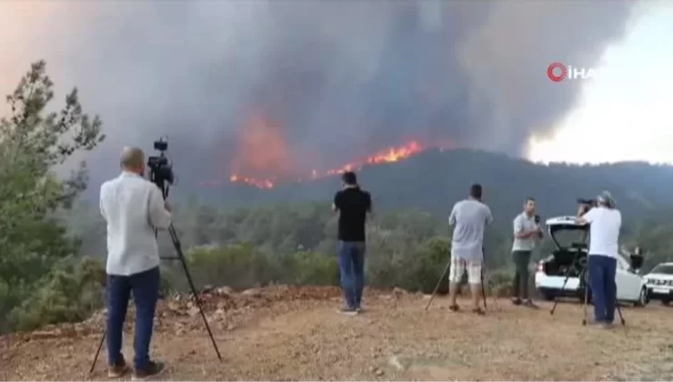 Bördübet yangınında yanan alanlar tekrar yeşeriyor