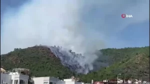 marmaris-orman-yangini-kontrol-altina-alindi-yangin-bolgesinde-erkek-cesedi-bulundu-tVttbDmE.jpg