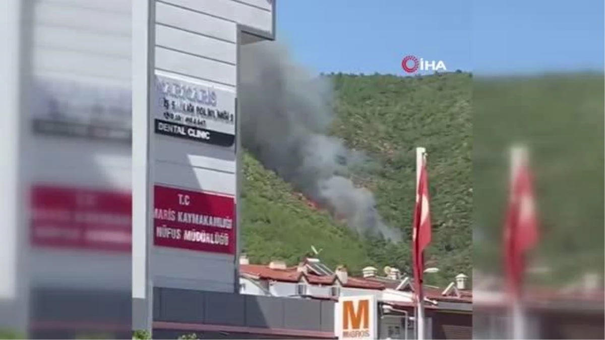 marmariste-orman-yangini-TOaBKTmc.jpg