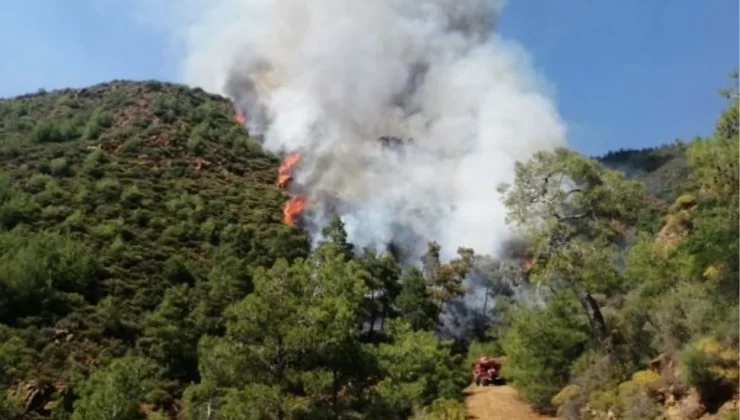 Marmaris’teki Orman Yangınında Bulunan Cesetle İlgili Gözaltına Alınan Şüpheli Serbest Bırakıldı