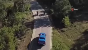 muglada-jandarma-ekipleri-orman-yanginlarina-karsi-teyakkuza-gecti-iTzLJG9k.jpg
