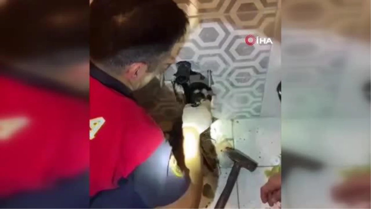 kediyi-goruntuleme-cihaziyla-tespit-ettiler-itfaiyeden-kedi-kurtarma-operasyonu-nfEvGSDv.jpg