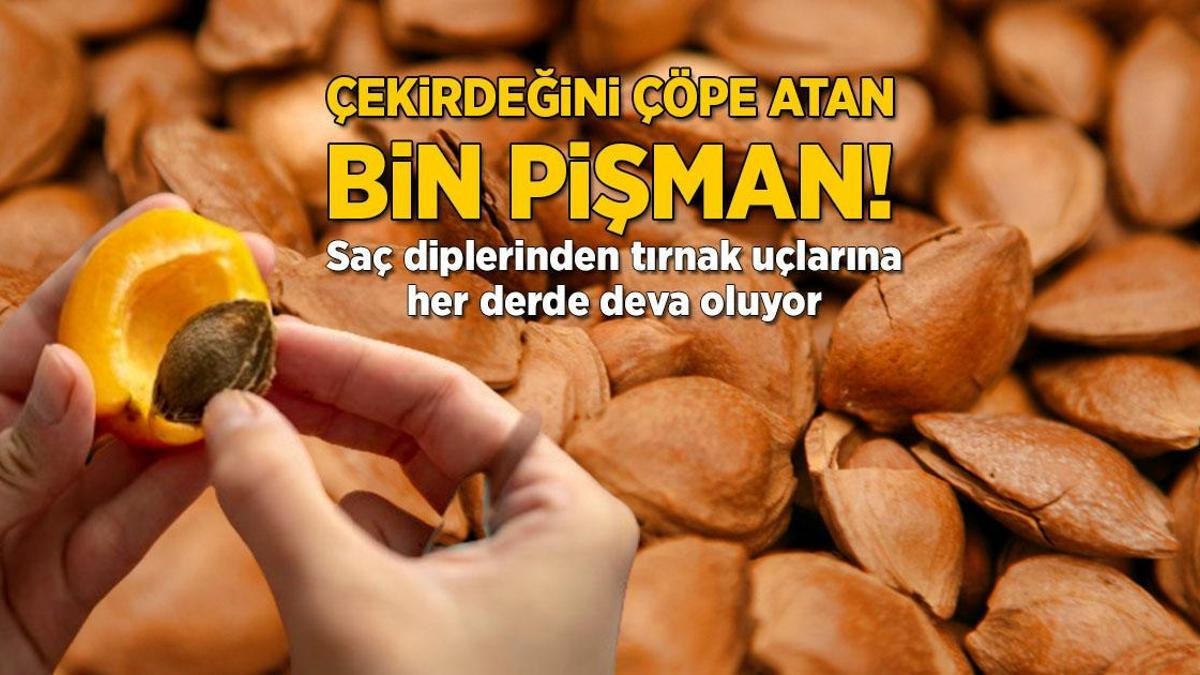 cekirdegini-cope-atan-bin-pisman-sac-diplerinden-tirnak-uclarina-her-derde-deva-oluyor-KRR4VZd3.jpg