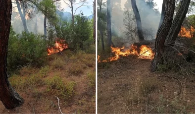 Muğla’da bir günde 11 yıldırım yangını çıktı