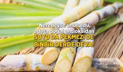 Suyu da pekmezi de binbir derde deva! Neredeyse unutuldu, adeta doğal antioksidan