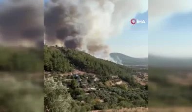 Milas’ta orman yangını