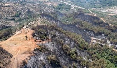 Muğla’da çıkan orman yangını kontrol altına alındı