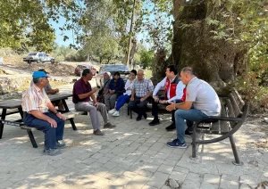 muglada-cikan-yanginda-60-hektar-ormanlik-alan-zarar-gordu-vSa4QLJS.jpg