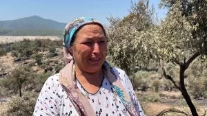muglada-cikan-yanginda-zeytinlikler-zarar-gordu-QI8H3nO6.jpg