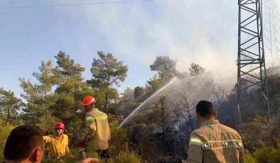 Muğla’da Orman Yangını Kontrol Altına Alındı