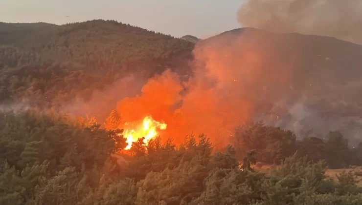 Muğla’da orman yangınına havadan müdahale sona erdi