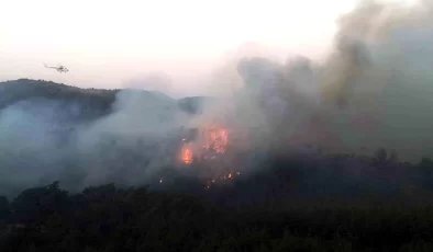 Muğla’da Sekköy Mahallesinde Orman Yangını Devam Ediyor