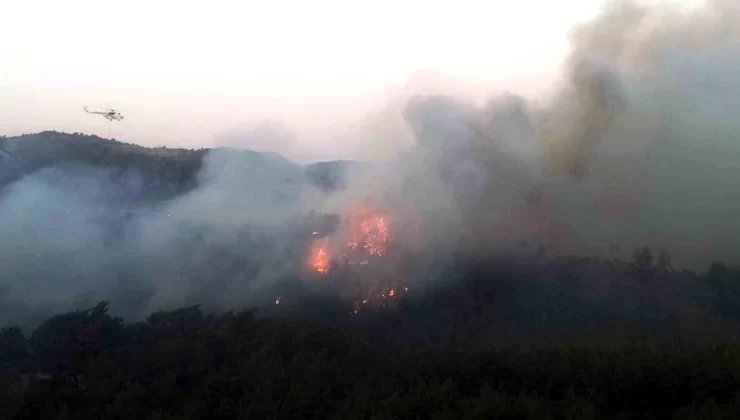 Muğla’da Sekköy Mahallesinde Orman Yangını Devam Ediyor