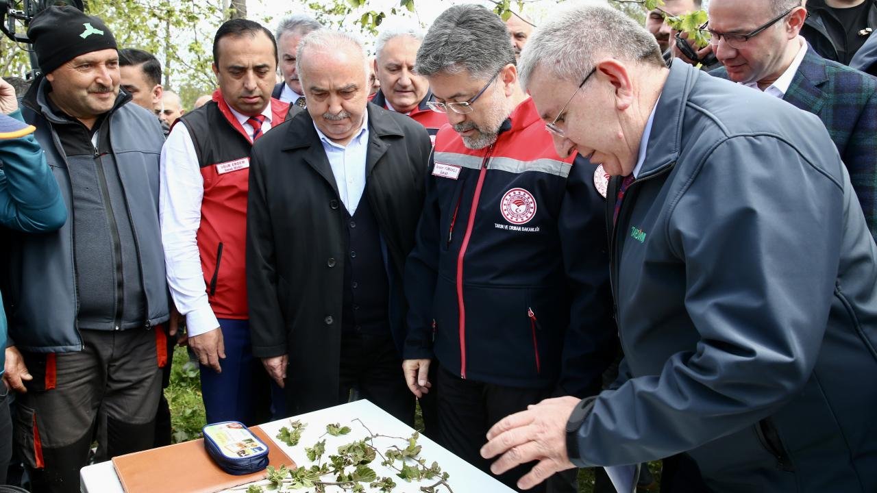 bakan-yumakli-zirai-dondan-etkilenen-16-meyve-turu-icin-destek-verilecegini-bildirdi-VTwyxD7n.jpg