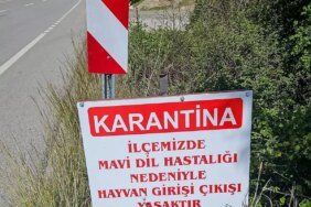 datcada-mavi-dil-hastaligi-karantinasi-A5eRgyeC.jpg