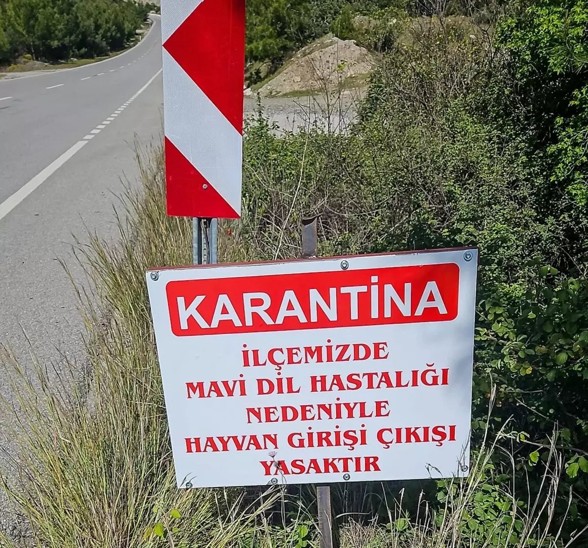 datcada-mavi-dil-hastaligi-karantinasi-A5eRgyeC.jpg