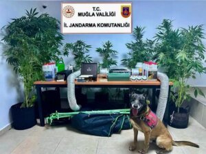 ogretmenin-elbise-dolabinda-hint-keneviri-yetistirirken-yakalandi-2kVhSVxU.jpg