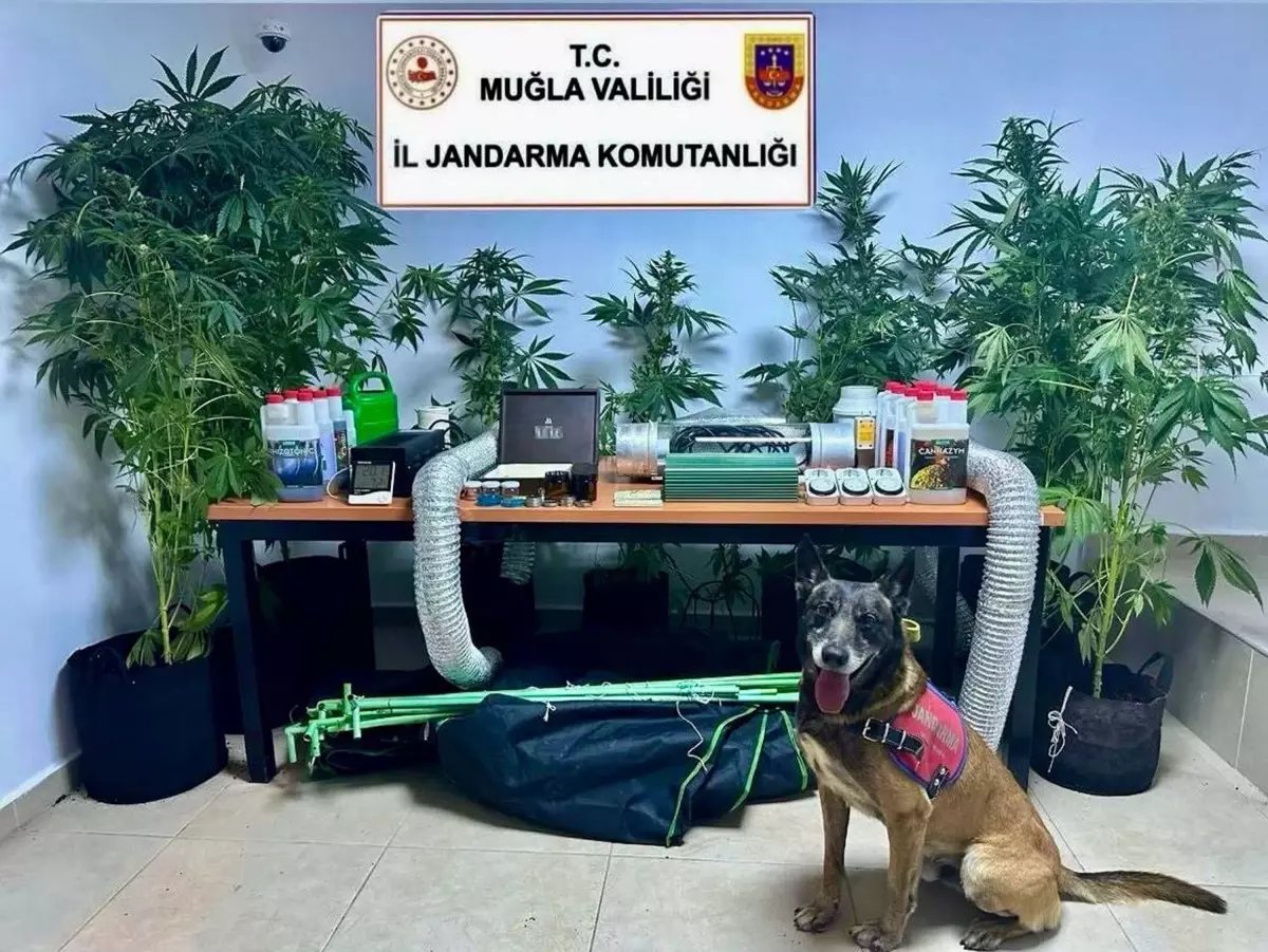 ogretmenin-elbise-dolabinda-hint-keneviri-yetistirirken-yakalandi-2kVhSVxU.jpg