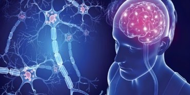 0447abd2-7778-4111-80db-ba36f5f5228b