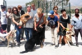 Valilikten Bodrum Belediyesi’ne 100 milyon TL'lik sokak ...