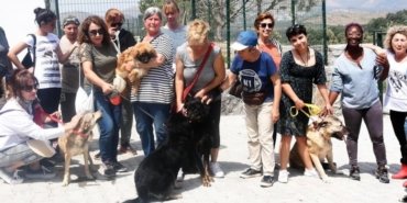 Valilikten Bodrum Belediyesi’ne 100 milyon TL'lik sokak ...