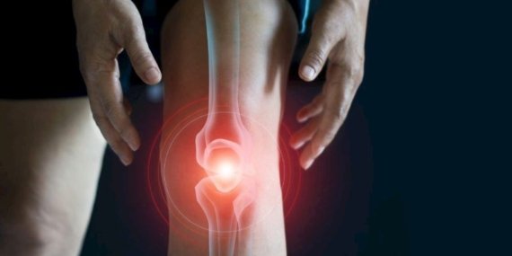 kas-agrilarina-ne-iyi-gelir-uzmandan-10-oneri-422fc516-16c0-49f9-97c6-8b662a9a38e2