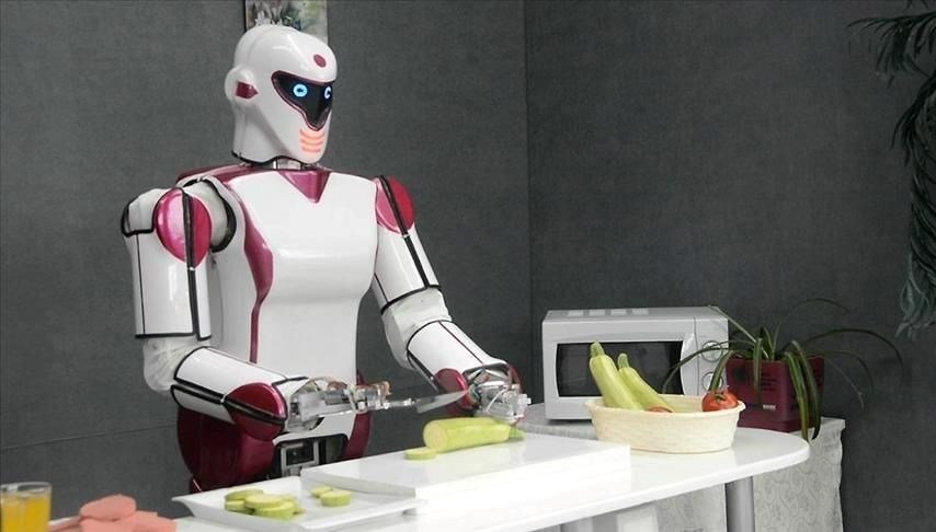 cinden-gelecegin-robotu-tek-beyinle-coklu-gorev-donemi-basladi-keeWK1gX.jpg