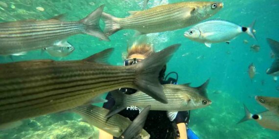 marmaris-dalis-turizmiyle-yerli-ve-yabanci-turistlerin-gozdesi-oluyor-nkjRFhxS.jpg