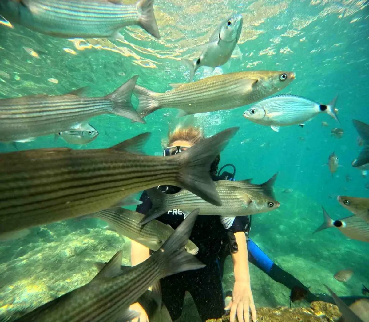 marmaris-dalis-turizmiyle-yerli-ve-yabanci-turistlerin-gozdesi-oluyor-nkjRFhxS.jpg
