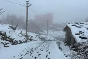 Hakkari'de kar etkili oldu: Hakkari'de yarın okullar tatil mi, Valilikten açıklama yapıldı mı?