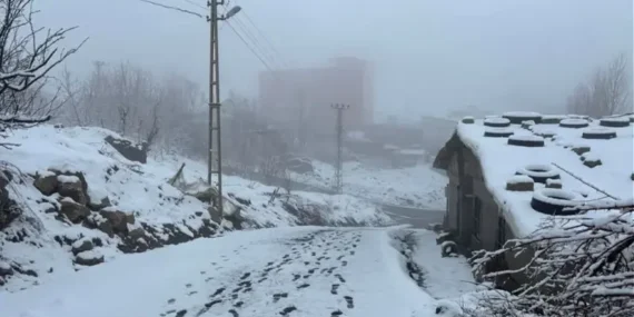 Hakkari'de kar etkili oldu: Hakkari'de yarın okullar tatil mi, Valilikten açıklama yapıldı mı?