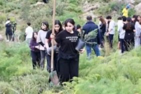 Bodrum'da yanan hatıra ormanını yeşertmek için 1500 fidan dikildi