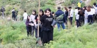 Bodrum'da yanan hatıra ormanını yeşertmek için 1500 fidan dikildi