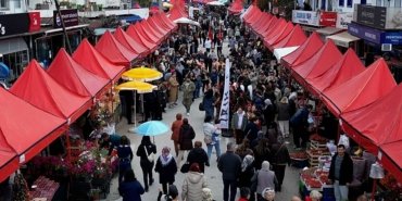 Bodrum'da 7. Acı Ot Festivaline yoğun ilgi