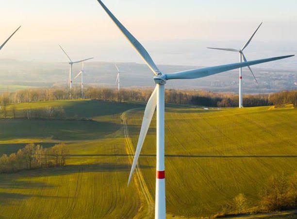 Bodrum ve Milas’ta Tartışmalı RES Projesinde İnşaat Başladı