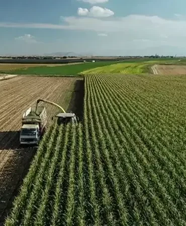 TC kimlik numarası son hanesine göre yatıyor! Mazot ve gübre desteği ödemeleri yattı mı? ÇKS 2026 Mart ayı mazot gübre desteği sorgulama ekranı