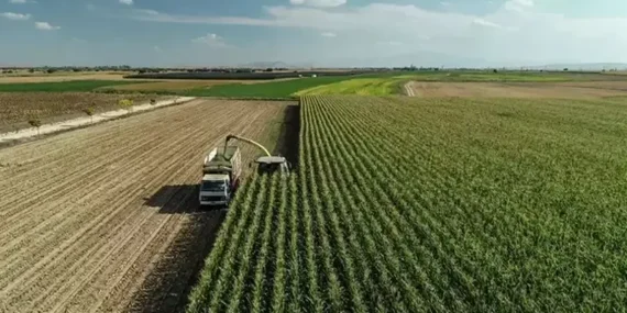 TC kimlik numarası son hanesine göre yatıyor! Mazot ve gübre desteği ödemeleri yattı mı? ÇKS 2026 Mart ayı mazot gübre desteği sorgulama ekranı