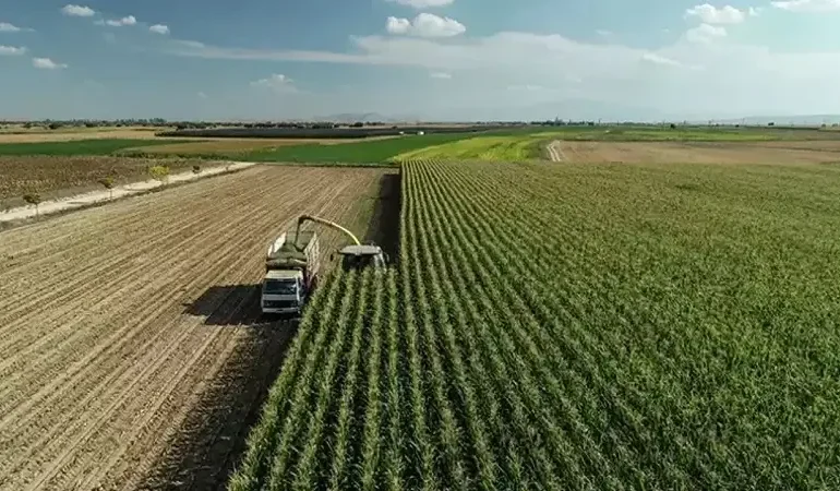 TC kimlik numarası son hanesine göre yatıyor! Mazot ve gübre desteği ödemeleri yattı mı? ÇKS 2026 Mart ayı mazot gübre desteği sorgulama ekranı