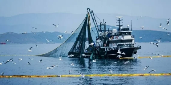 Denizlerde av yasağı ne zaman başlıyor 2026? Kıyı balıkçılığı yapmak yasak mı? Bakanlık açıkladı