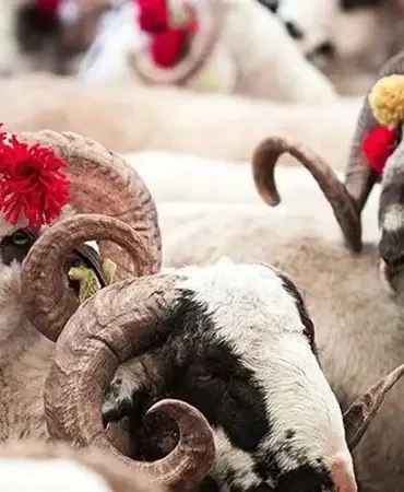 Kurban Bayramı ne zaman, hangi gün başlıyor? 2026 Kurban Bayramı tatili 9 gün olacak mı? Gözler resmi açıklamalarda