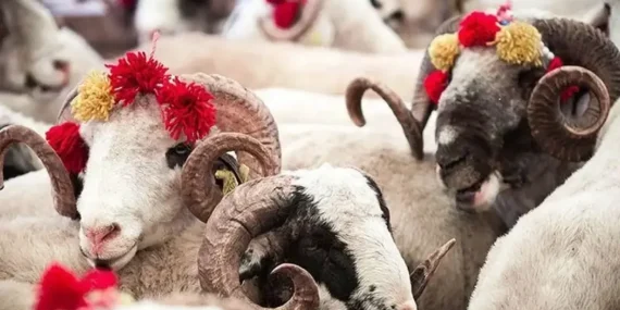 Kurban Bayramı ne zaman, hangi gün başlıyor? 2026 Kurban Bayramı tatili 9 gün olacak mı? Gözler resmi açıklamalarda