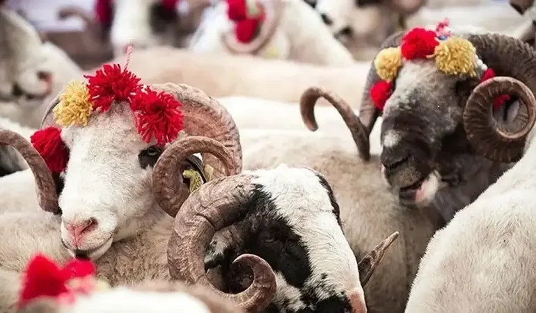 Kurban Bayramı ne zaman, hangi gün başlıyor? 2026 Kurban Bayramı tatili 9 gün olacak mı? Gözler resmi açıklamalarda