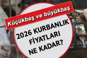 L İL GÜNCEL KURBANLIK FİYATLARI 2026! Büyükbaş ve küçükbaş kurbanlık fiyatları ne kadar, kaç TL? Koyun, keçi, dana, kuzu...
