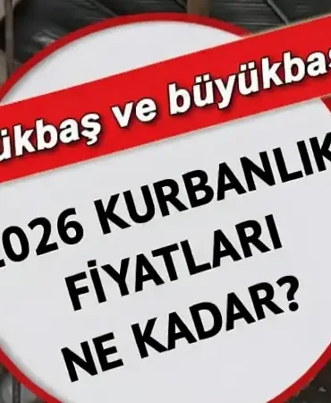 İL İL KURBANLIK FİYATLARI 2026! Büyükbaş ve küçükbaş kurbanlık fiyatları ne kadar, kaç TL? Koyun, keçi, dana, kuzu...