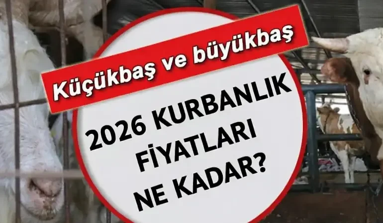 İL İL KURBANLIK FİYATLARI 2026! Büyükbaş ve küçükbaş kurbanlık fiyatları ne kadar, kaç TL? Koyun, keçi, dana, kuzu...