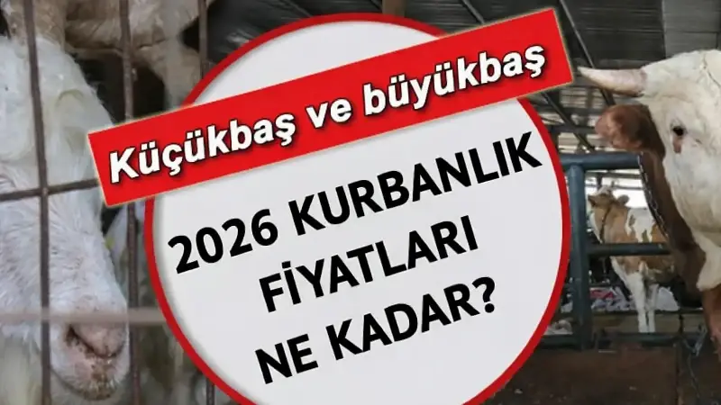 İL İL KURBANLIK FİYATLARI 2026! Büyükbaş ve küçükbaş kurbanlık fiyatları ne kadar, kaç TL? Koyun, keçi, dana, kuzu...